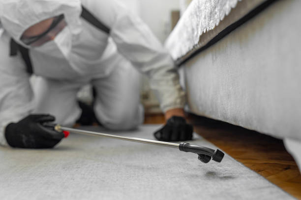 Professional Bed Bug Control technician working in Six Mile Run, NJ