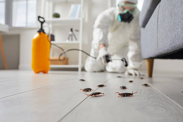 Trusted Mosquito Control service in Six Mile Run, NJ - Nex Pest Control