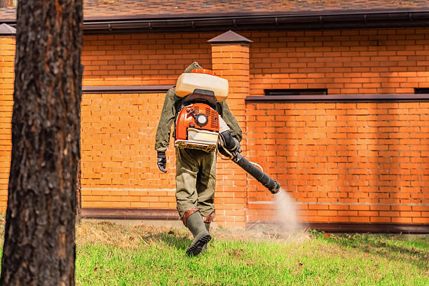 Trusted Rodent Control service in Six Mile Run, NJ - Nex Pest Control